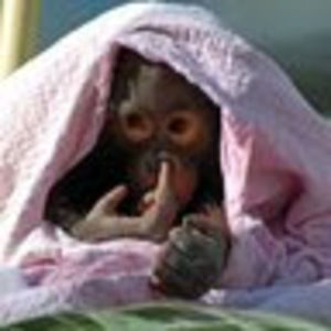 Meet your Posher, Katherine